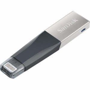 Флеш-накопитель SanDisk iXpand Mini 64Gb