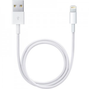 Кабель Apple Lightning to USB cable 0.5 m (ME291ZM/A)